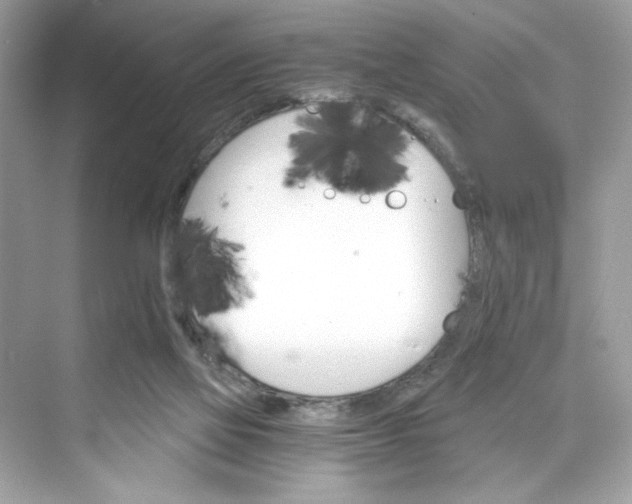 X0000075840069200609291448