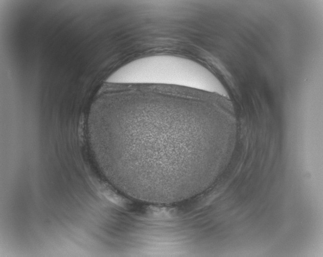 X0000075840073200609291448