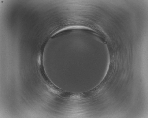 X0000075840076200609291448