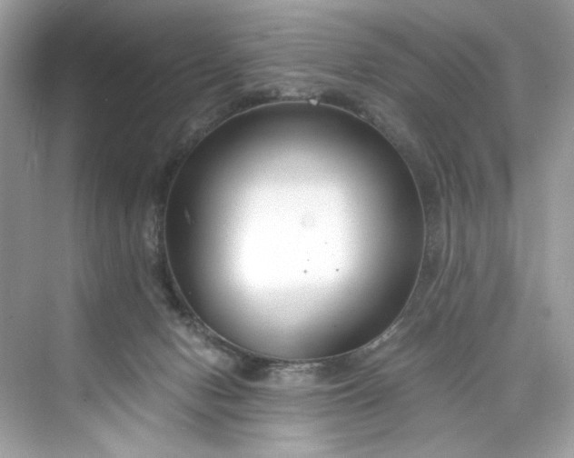 X0000075840078200609291448