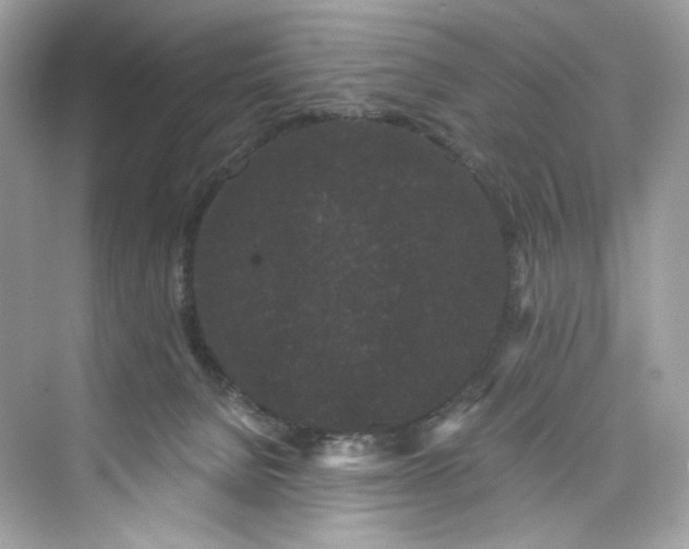 X0000075840080200609291449