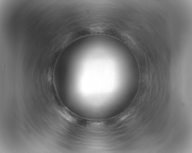 X0000075840081200609291449