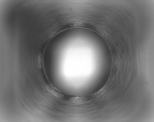 X0000075840082200609291449