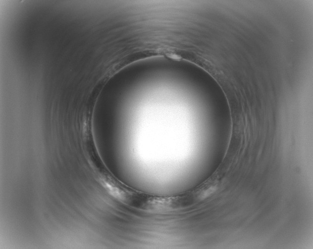 X0000075840084200609291449