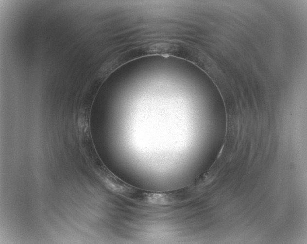 X0000075840091200609291449