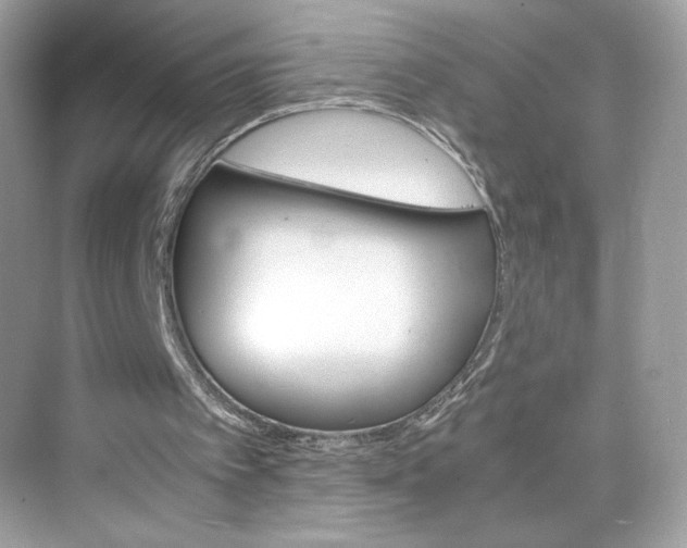 X0000075840097200609291448