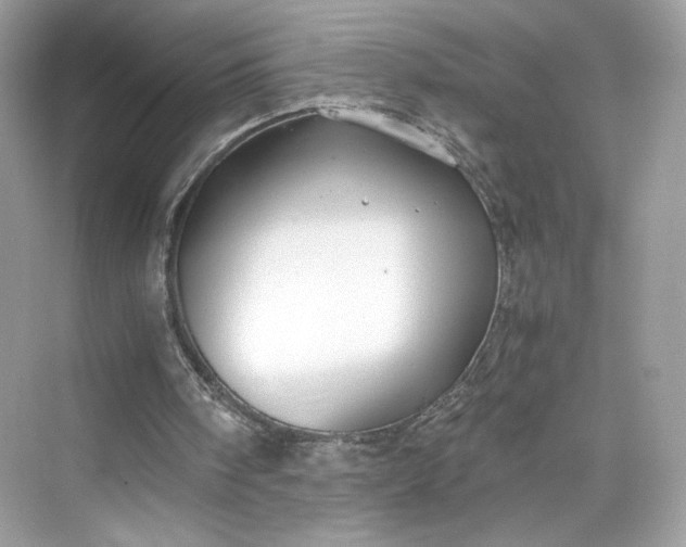 X0000075840098200609291448