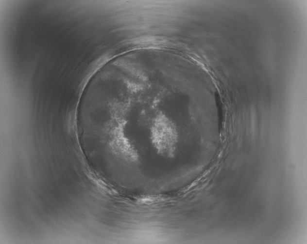 X0000075840099200609291448