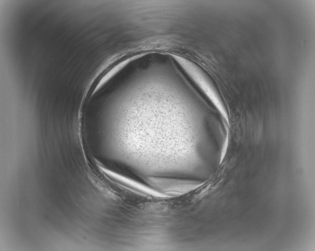 X0000075840100200609291448