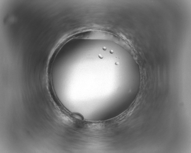 X0000075840102200609291448