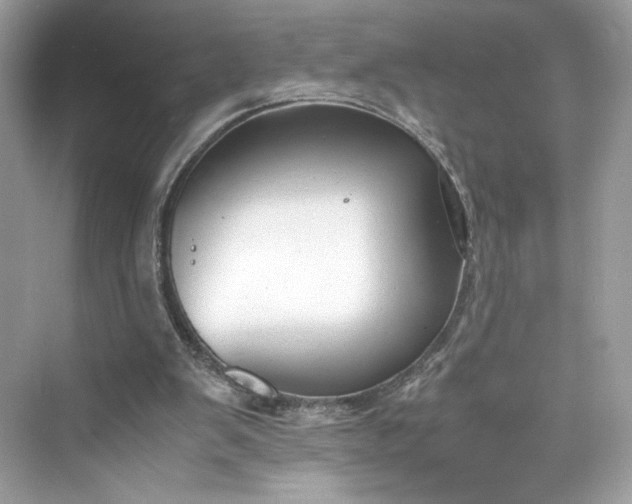 X0000075840103200609291448