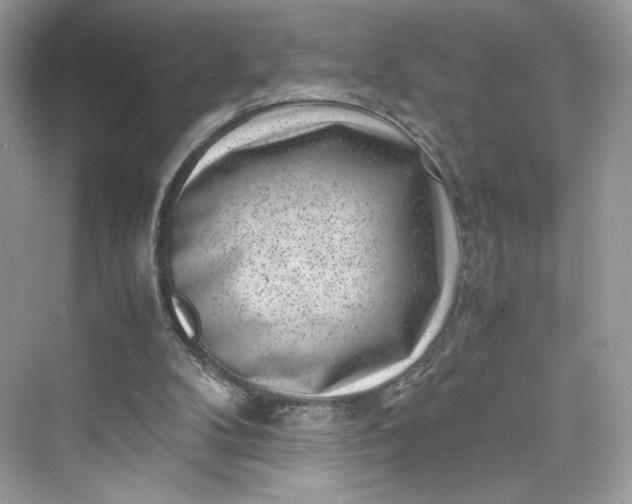 X0000075840104200609291448