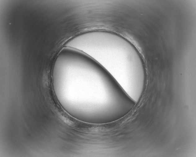 X0000075840105200609291448