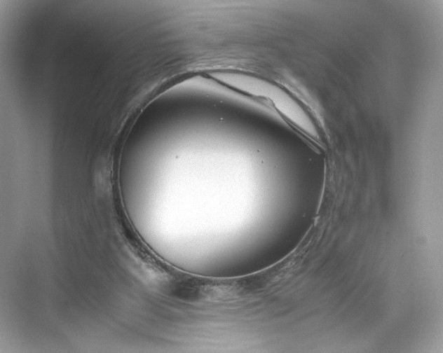 X0000075840107200609291448