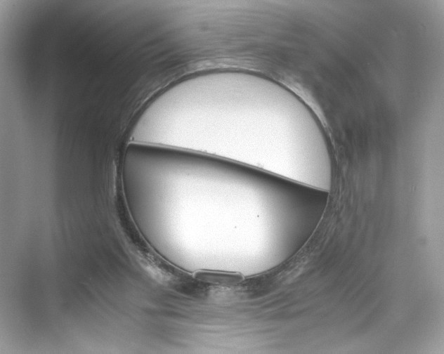 X0000075840109200609291448