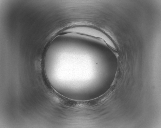 X0000075840111200609291448