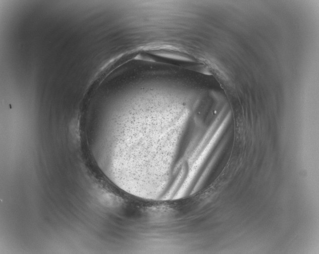 X0000075840112200609291448