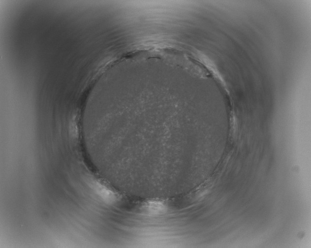 X0000075840114200609291448