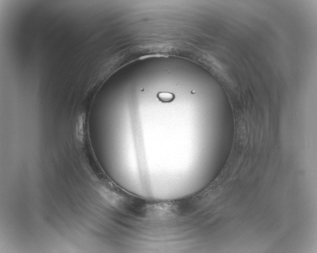 X0000075840118200609291448