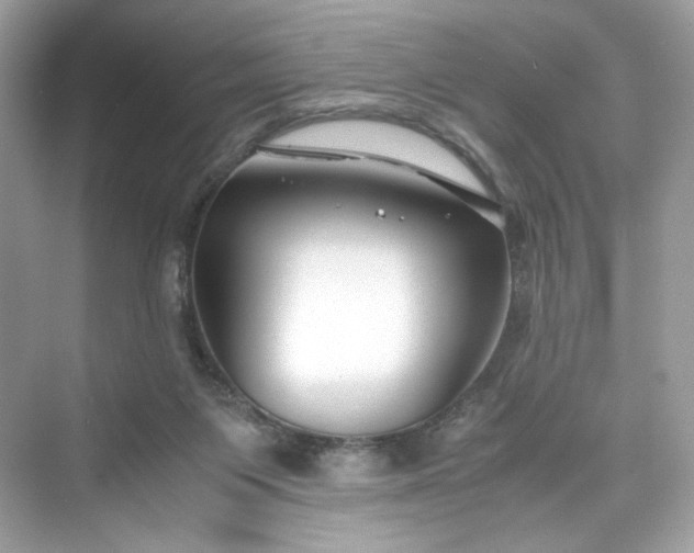 X0000075840119200609291448