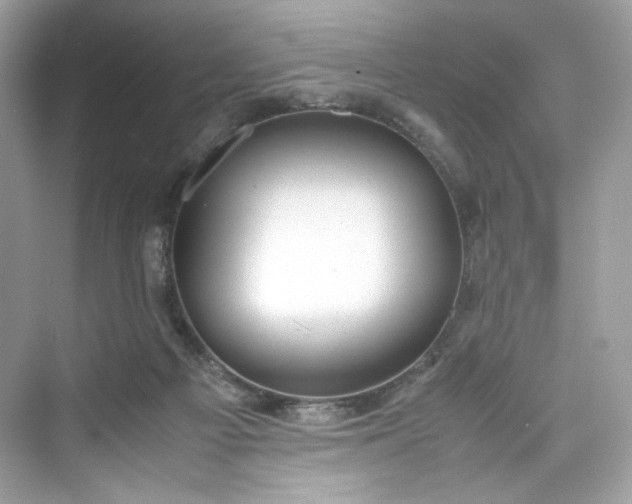 X0000075840121200609291448