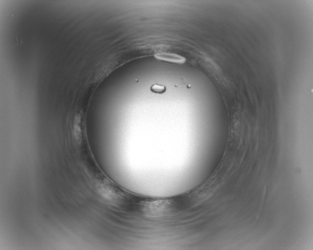 X0000075840122200609291448