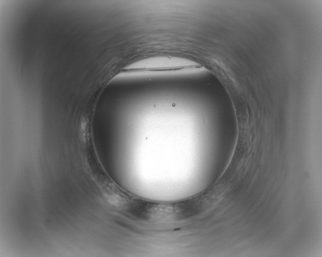 X0000075840123200609291448