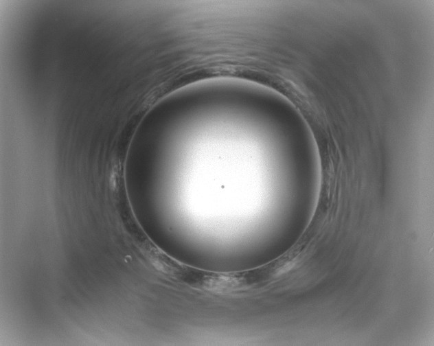 X0000075840125200609291448