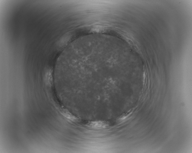 X0000075840127200609291447