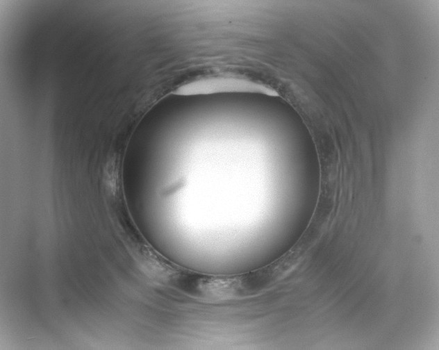 X0000075840129200609291447