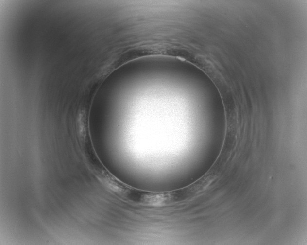 X0000075840131200609291447