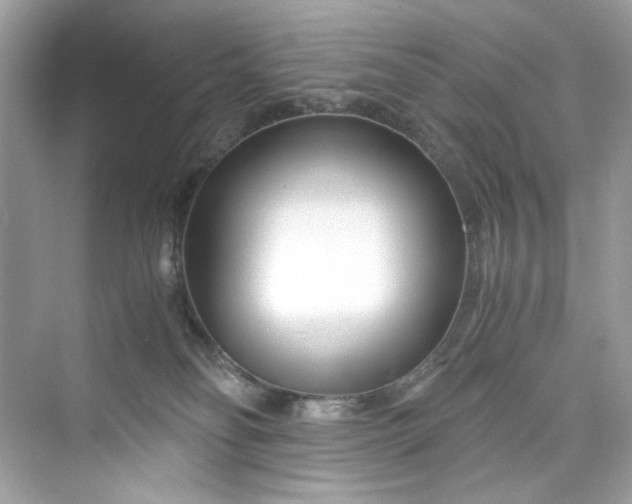 X0000075840134200609291447