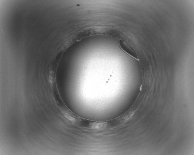 X0000075840135200609291447