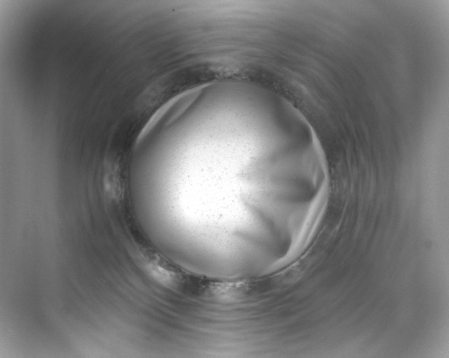 X0000075840136200609291447