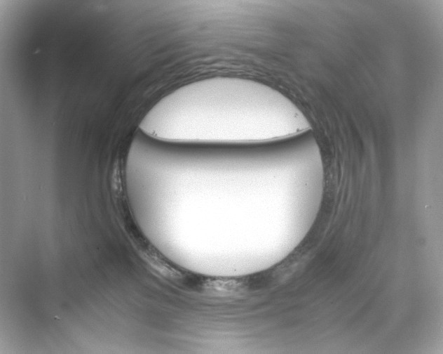 X0000075840137200609291447