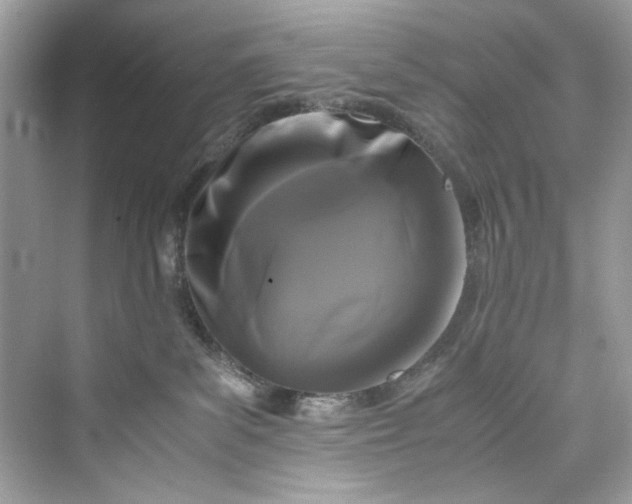 X0000075840139200609291447