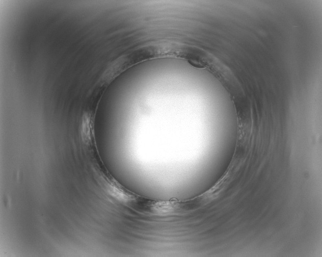 X0000075840142200609291447