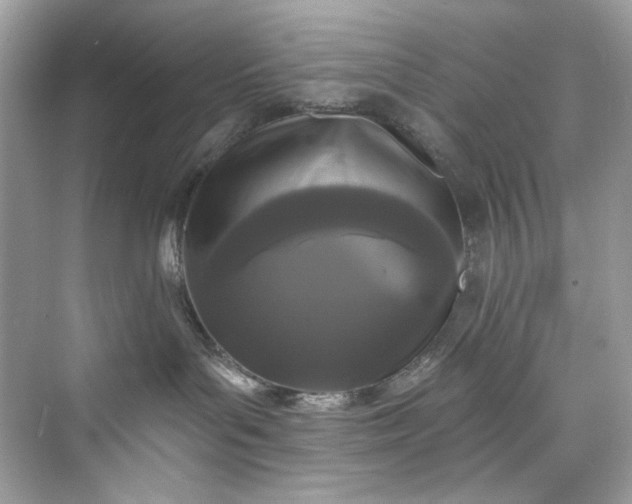 X0000075840143200609291447