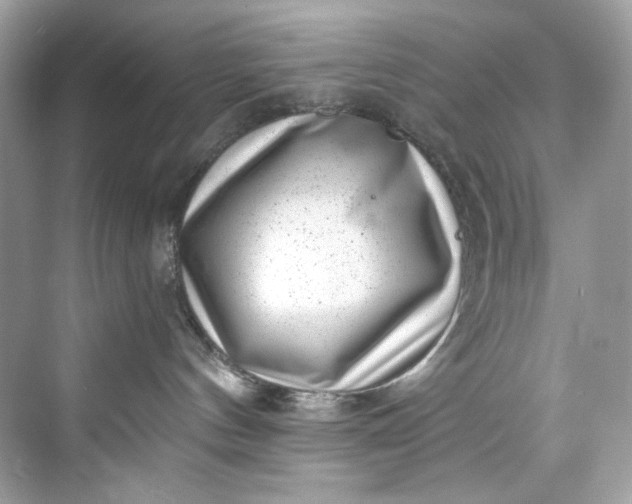 X0000075840144200609291447