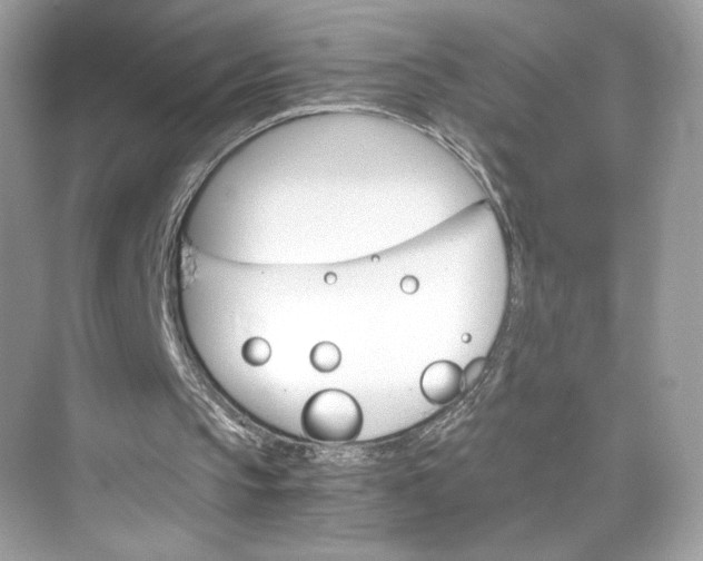 X0000075840145200609291446