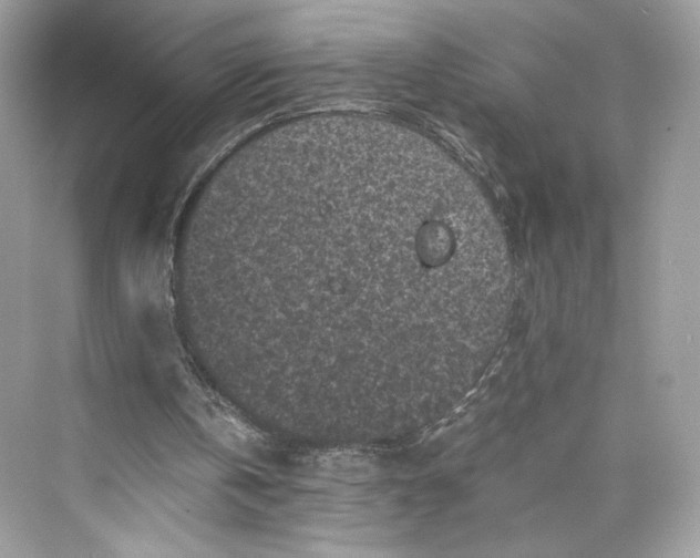 X0000075840146200609291446