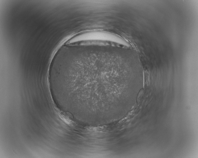 X0000075840147200609291446