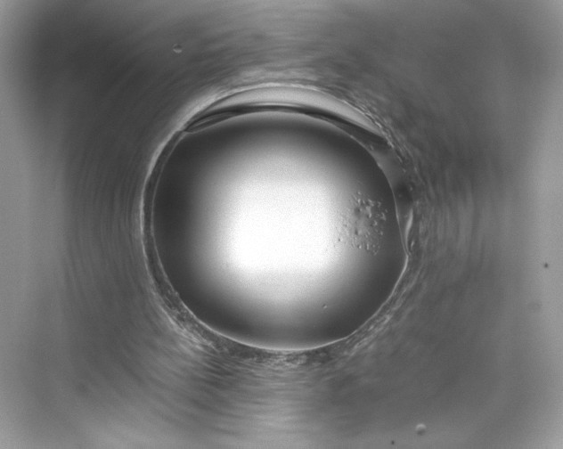 X0000075840148200609291446