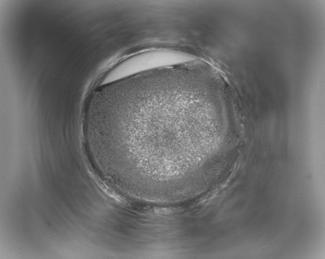 X0000075840149200609291446