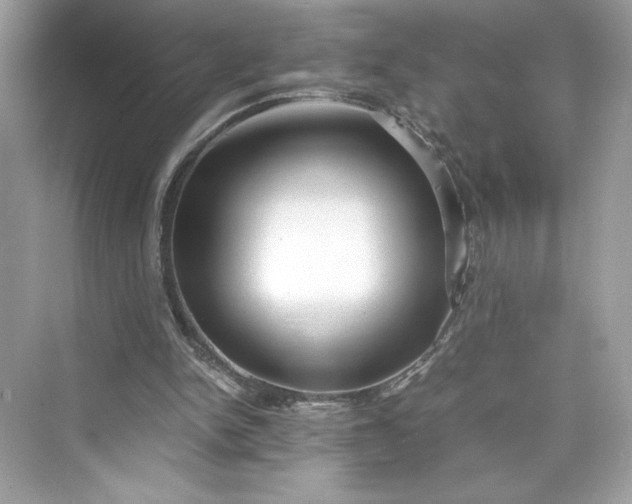 X0000075840150200609291446