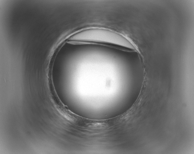 X0000075840151200609291446