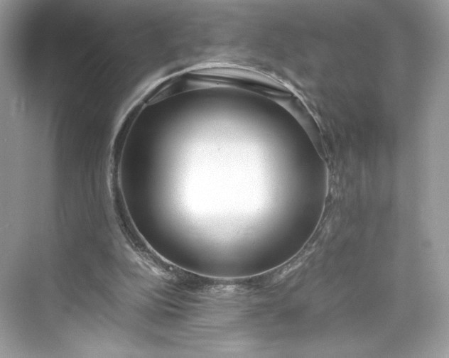 X0000075840152200609291446