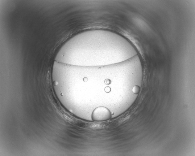 X0000075840153200609291447