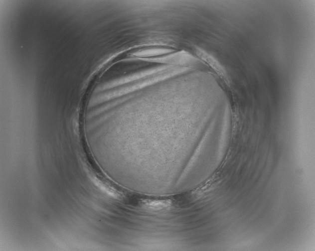 X0000075840155200609291447