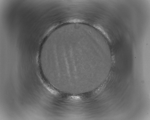 X0000075840159200609291447